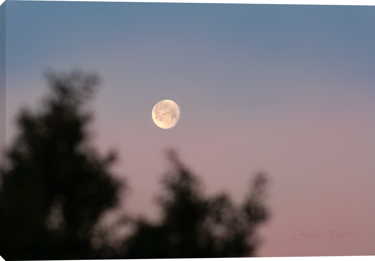 Morning Moon