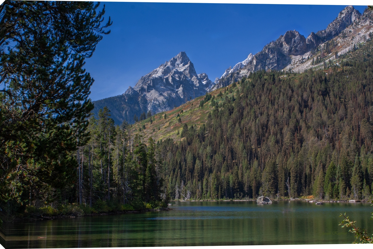 Lake View