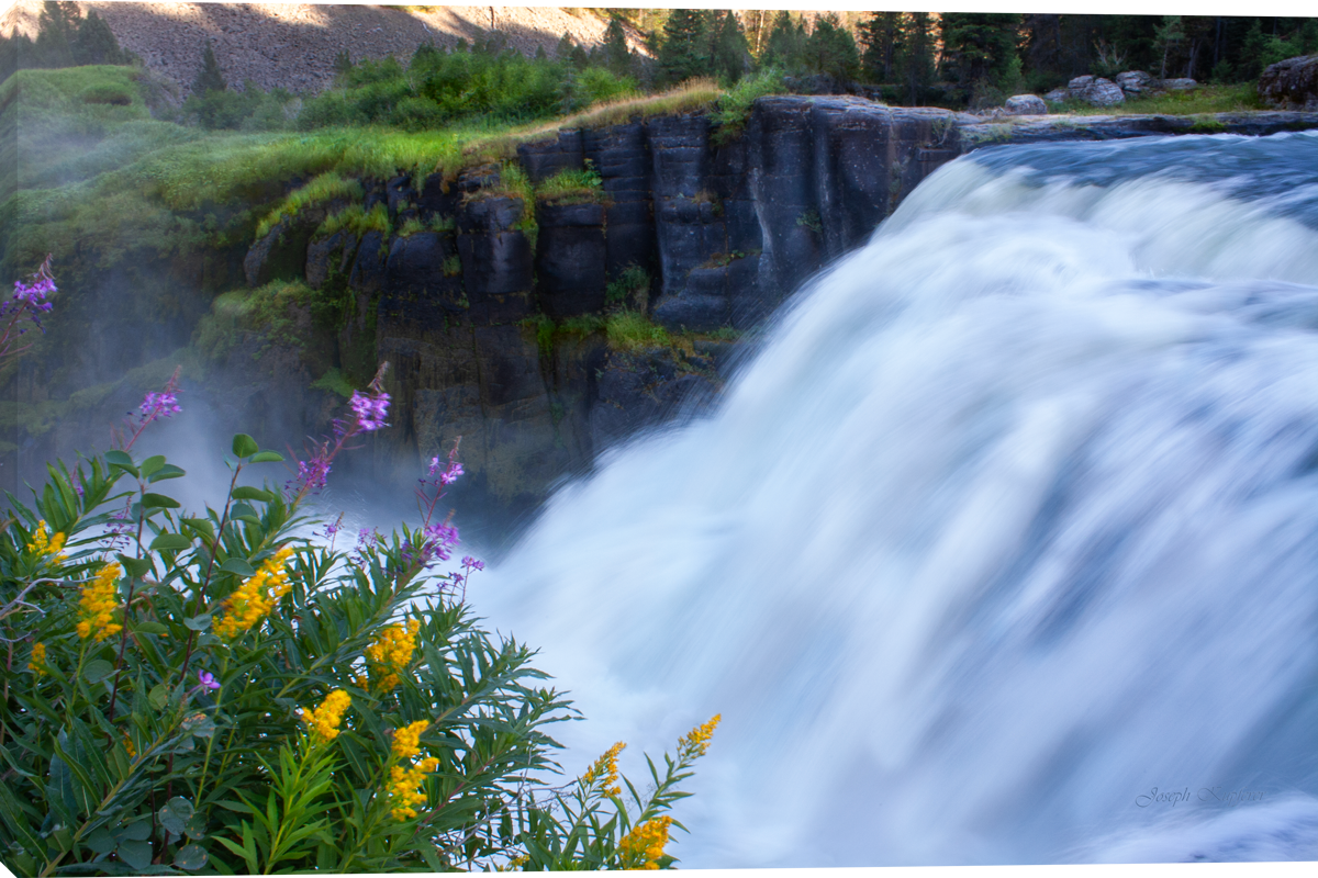 Lower Spring