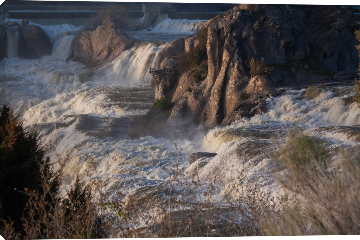 Shoshone Overflow