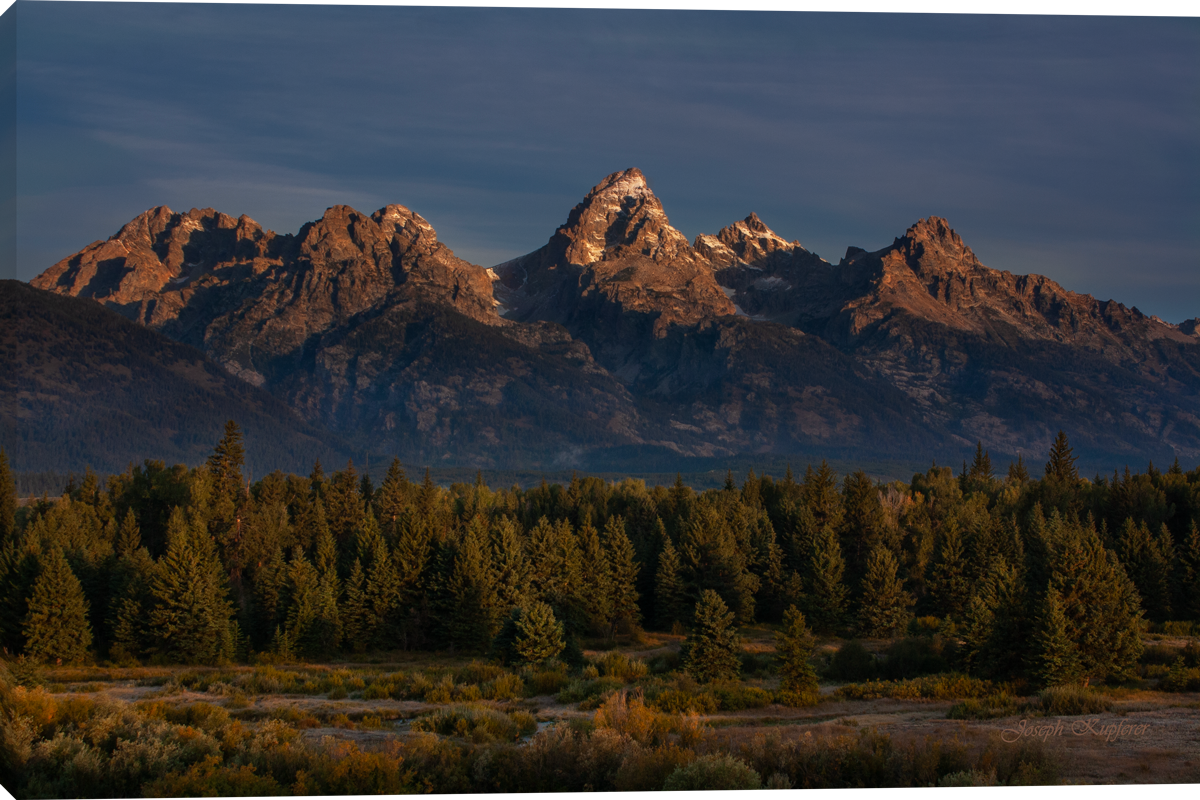 Golden Tetons