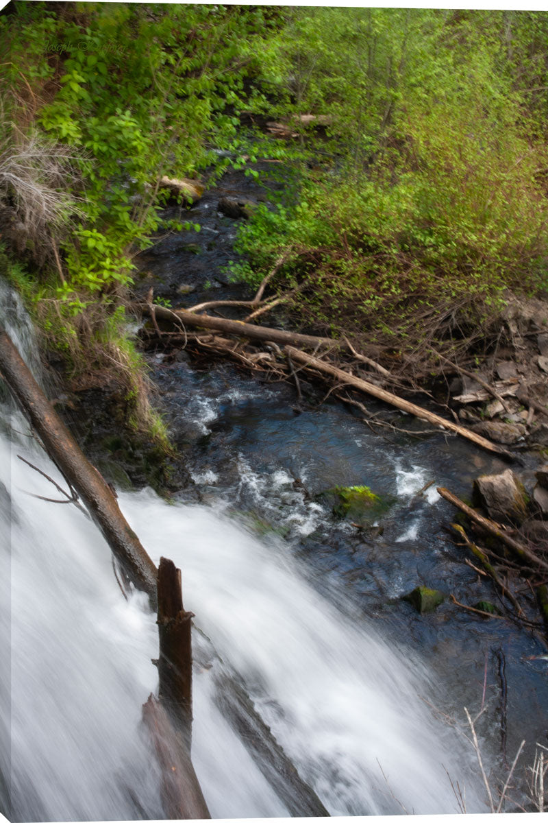 Webster's Dam Falls