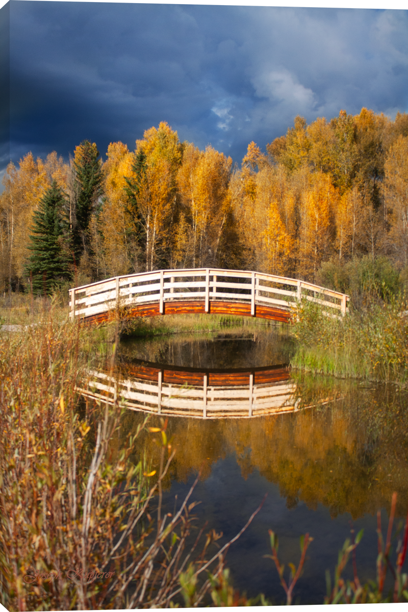 A Bridge to Autumn Leaves