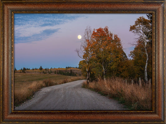 Autumn Moon