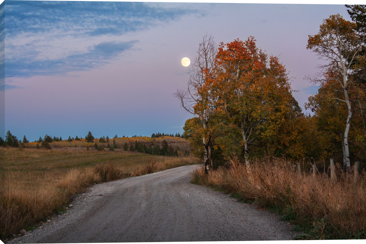 Autumn Moon