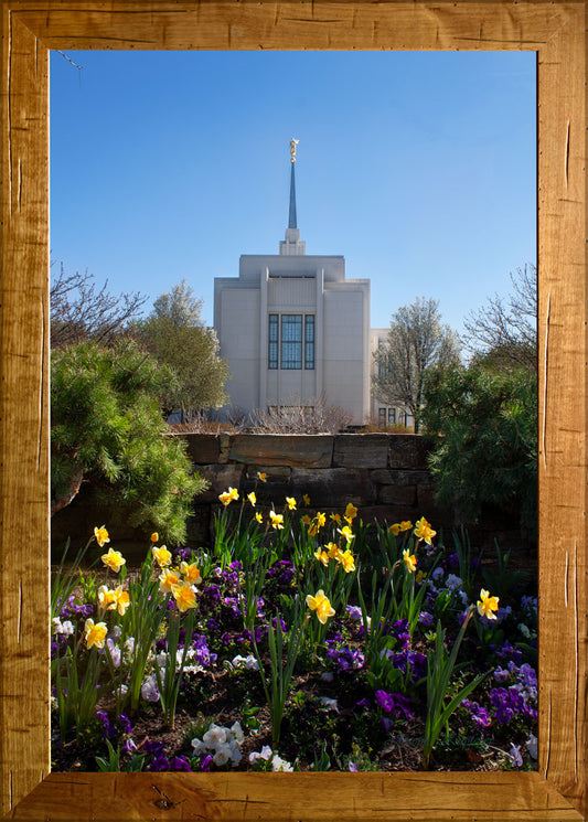 Blossoming Towards Heaven