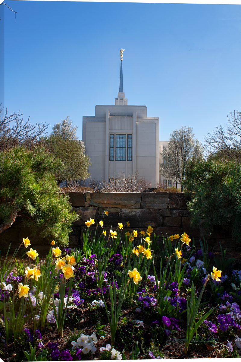 Blossoming Towards Heaven