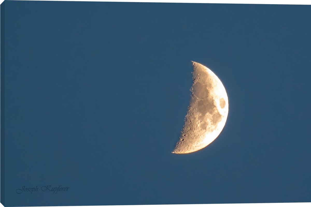 Bring Me The Moon