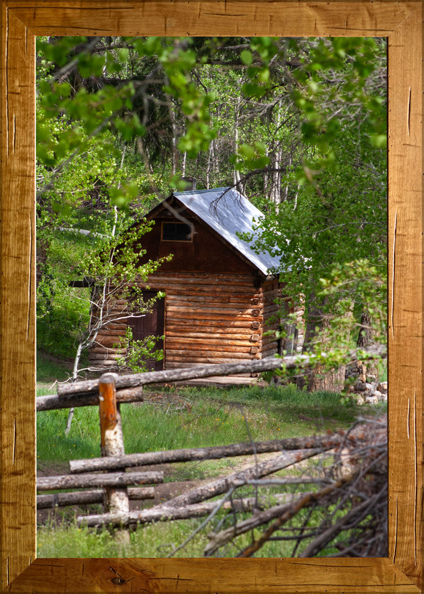 Cabin Along the Trail