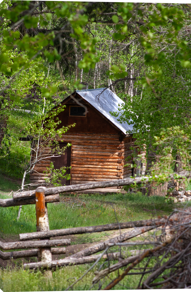 Cabin Along the Trail