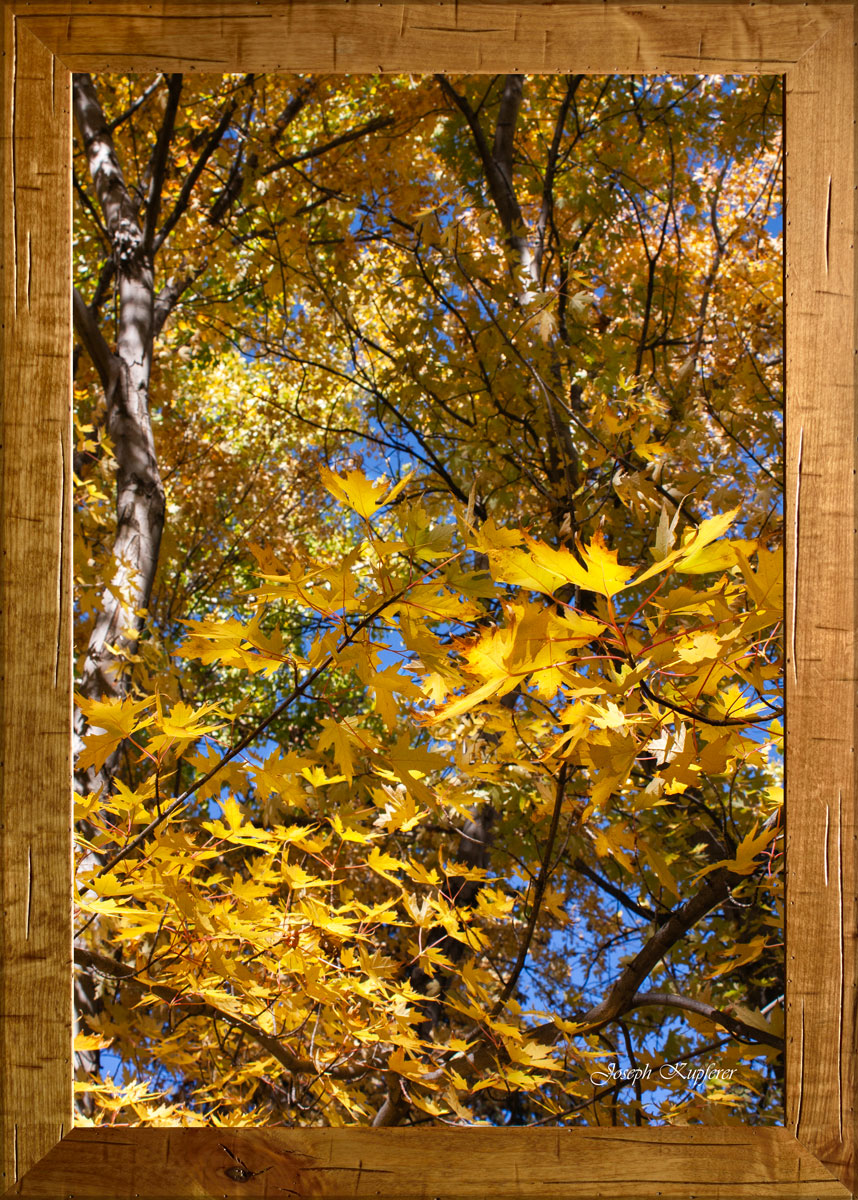 Change of Season