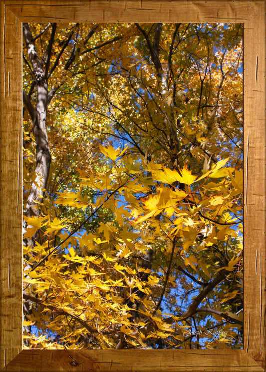 Change of Season