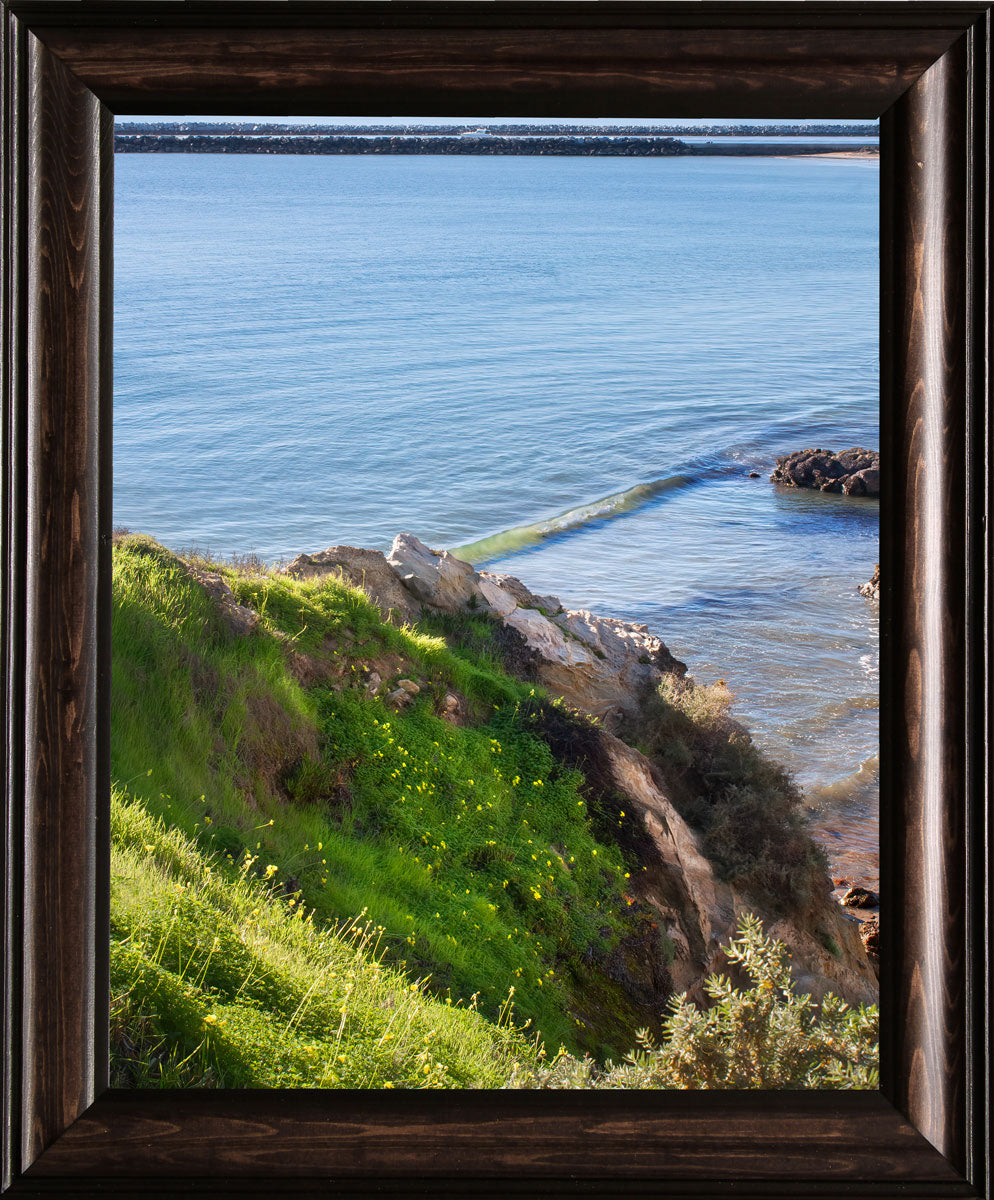 Cliffside Meadow