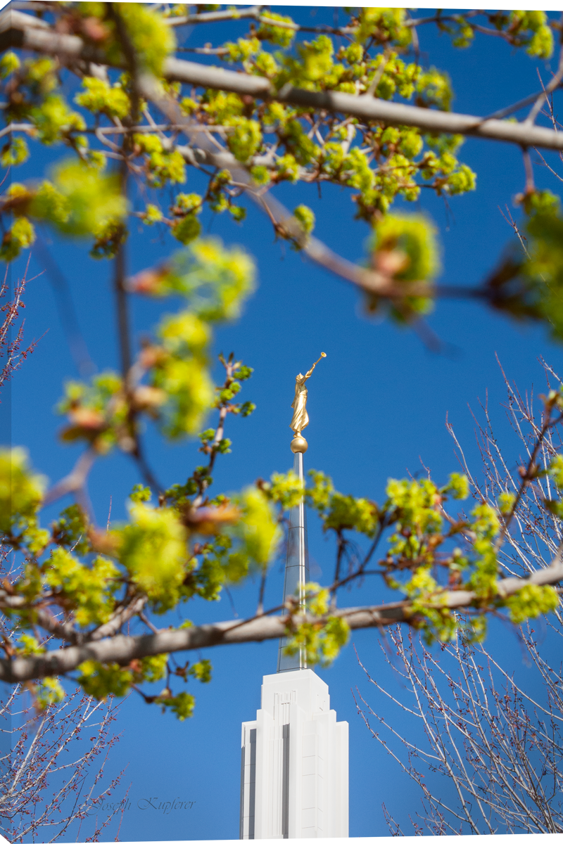 Green Spring