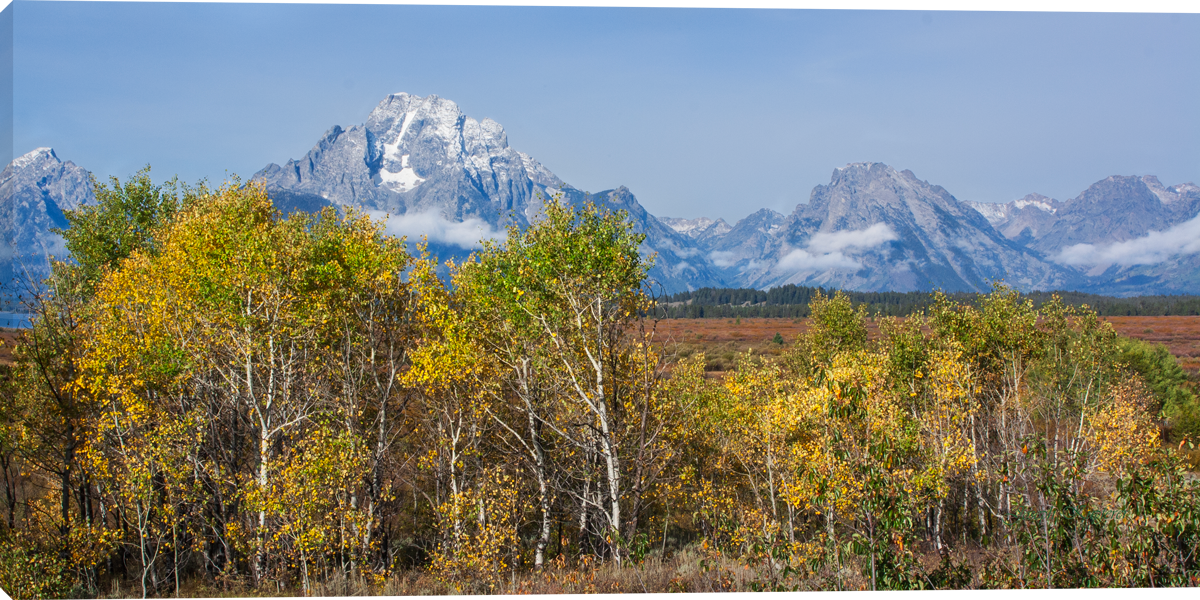 Early Autumn Call