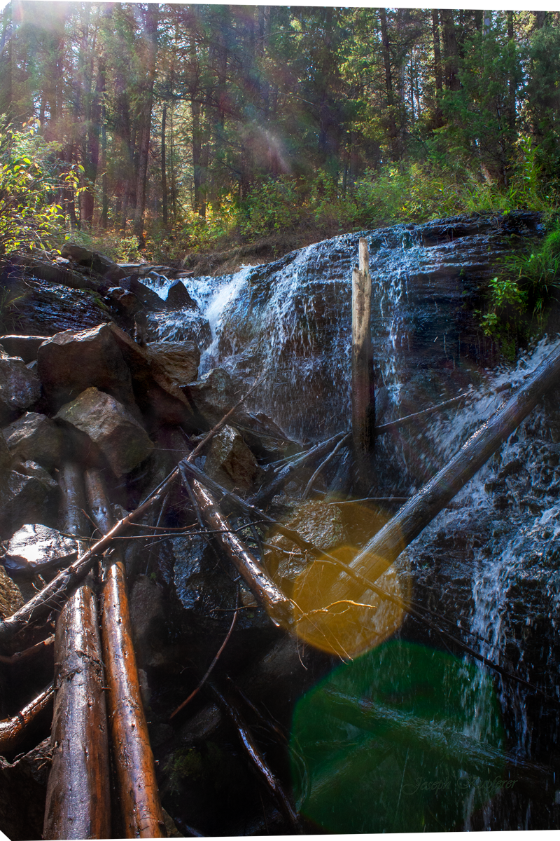 Go With The Flow