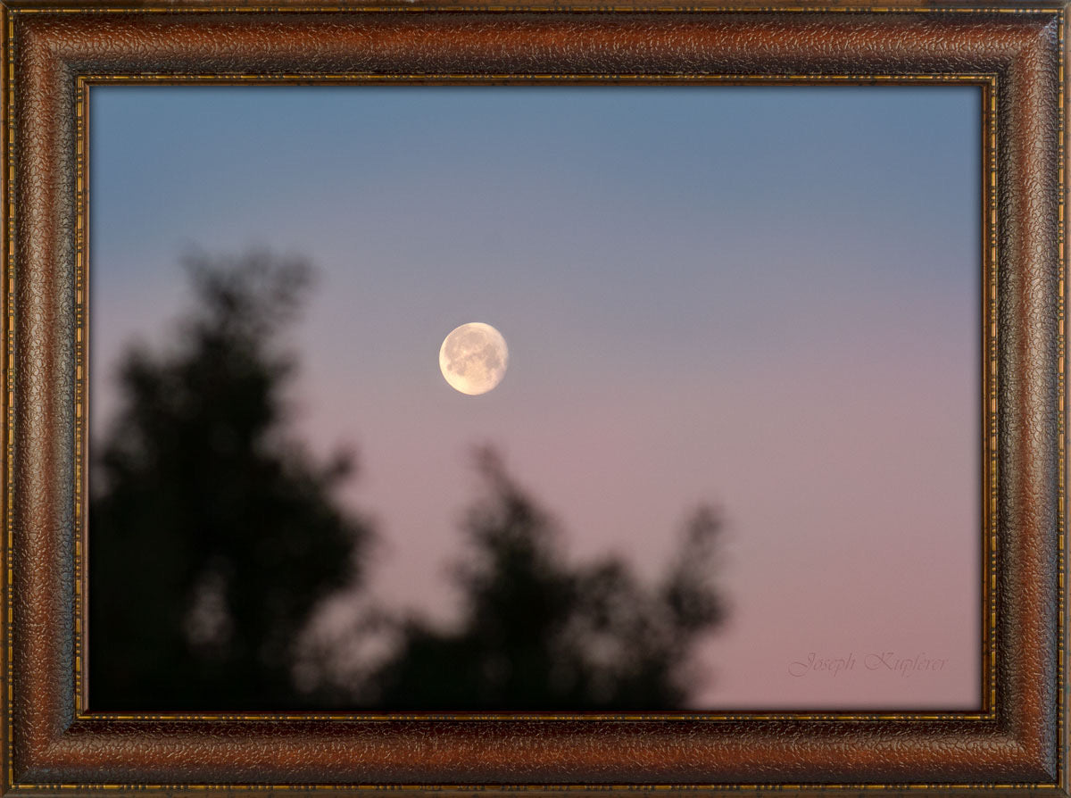 Morning Moon