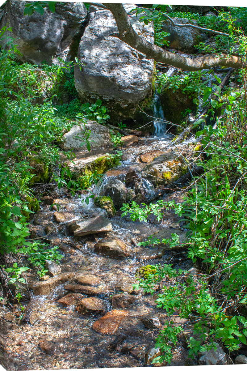 Little Creek Haven