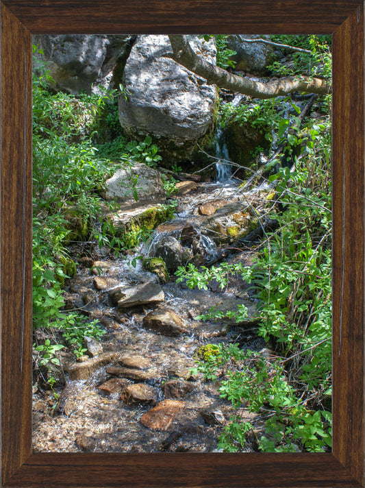 Little Creek Haven