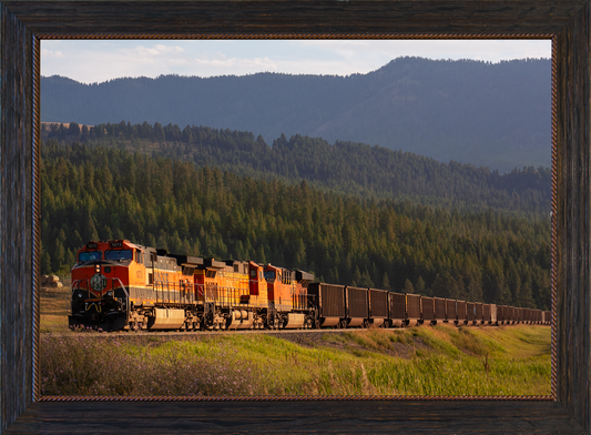 On the Rails Again