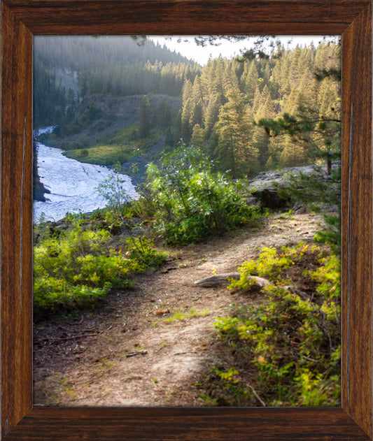 Path of Solace