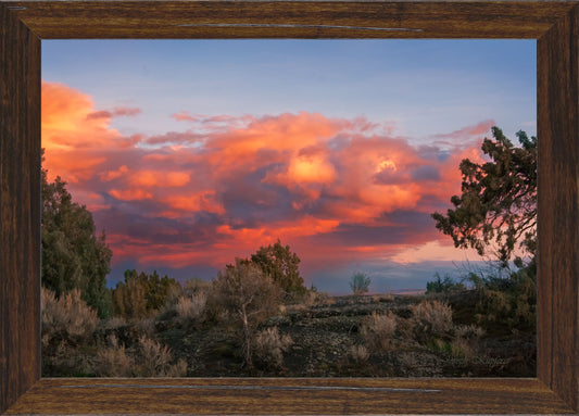 Sagebrush Storm Arrives