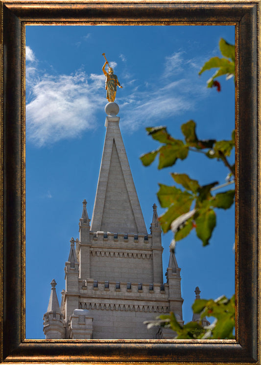 Salt Lake Herald