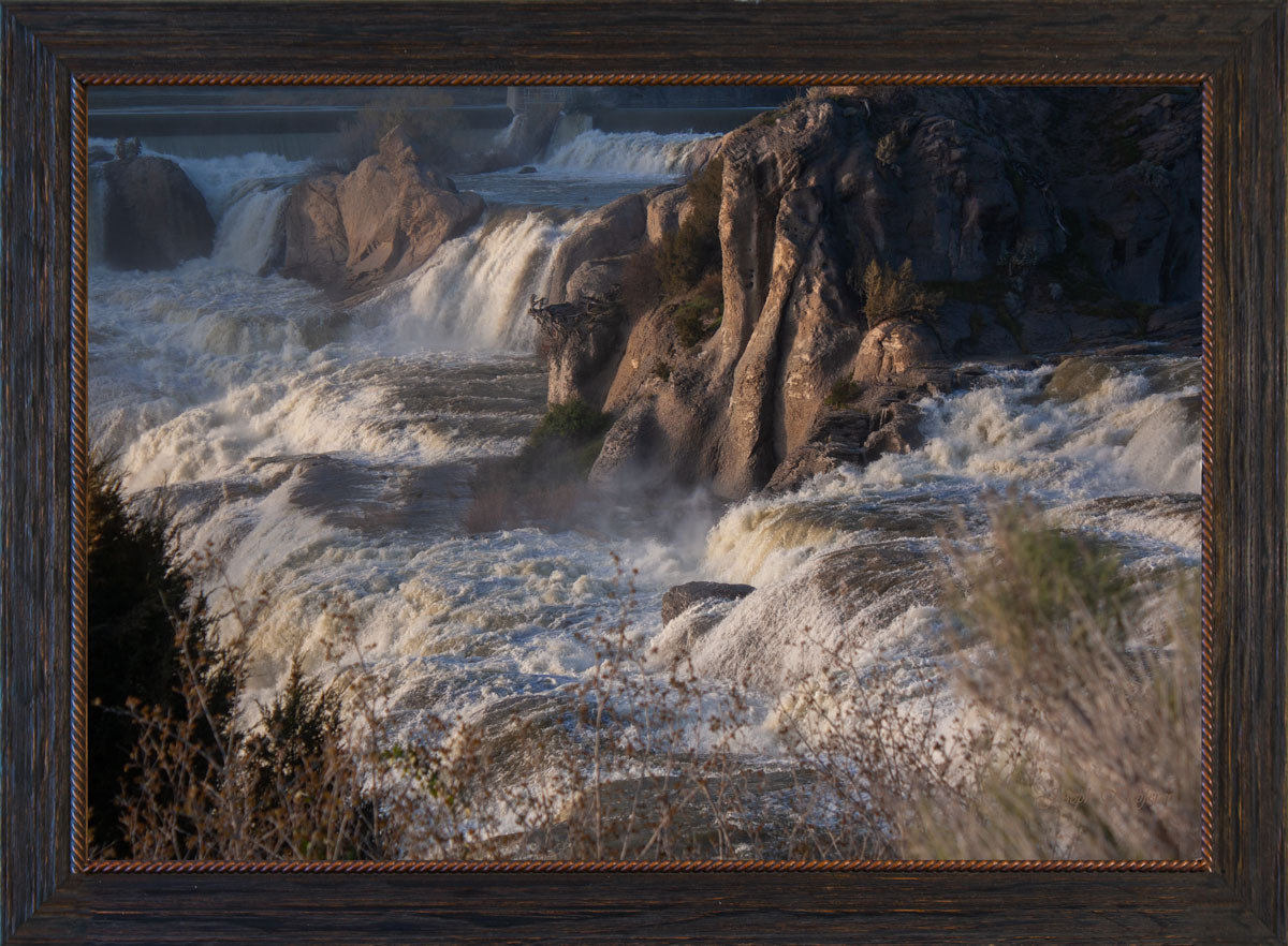 Shoshone Overflow