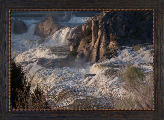 Shoshone Overflow