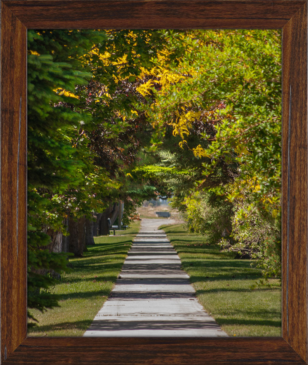 Spring Tunnel