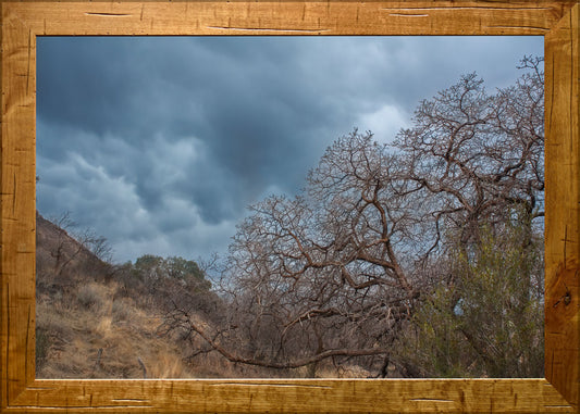 Weathering The Storm