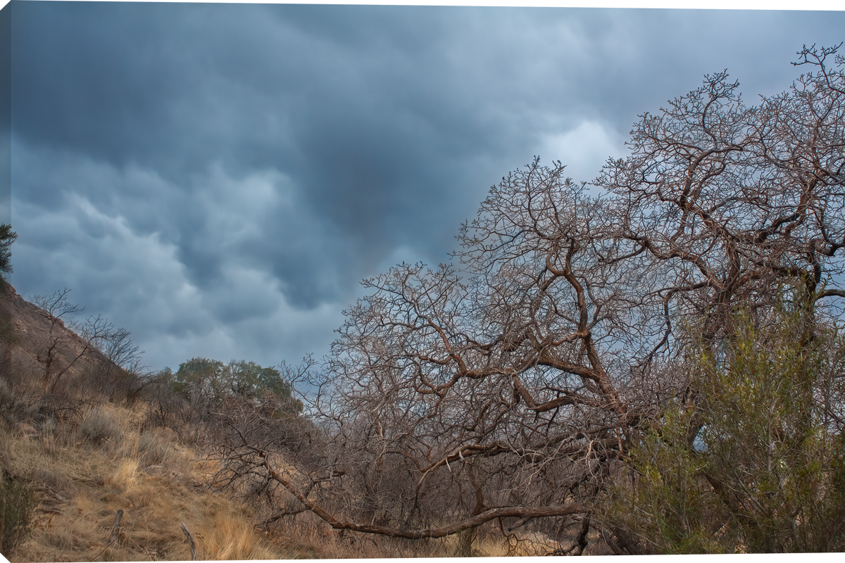 Weathering The Storm